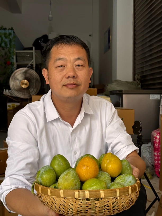 溆浦阿政助农新鲜现摘现发空心奈李顺丰包邮