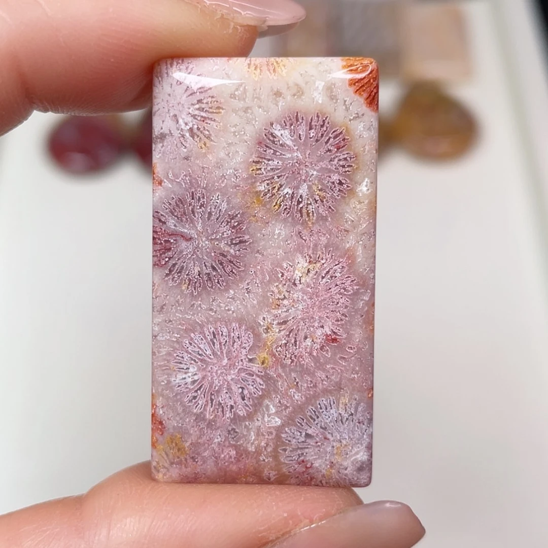 【闪购商品】未镶嵌吊坠(赠链)硅化玉