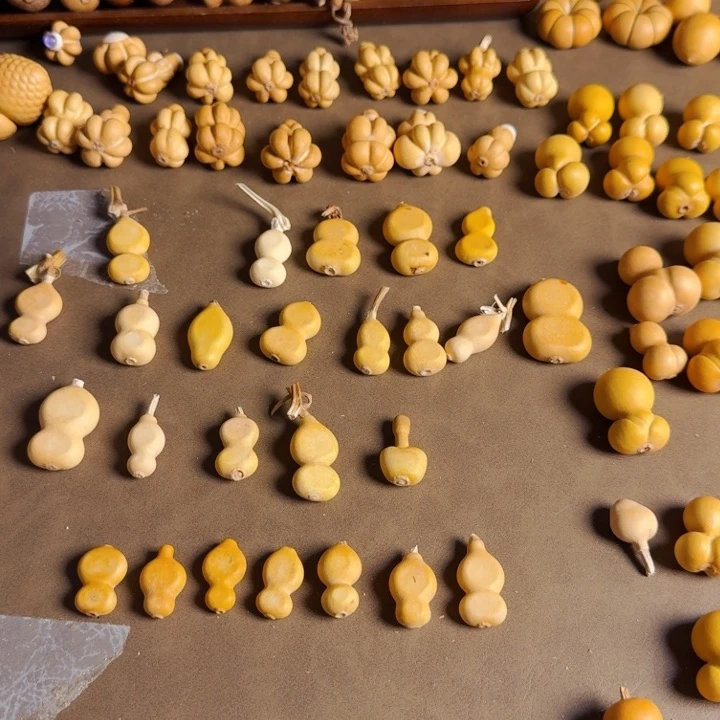 辰*俺不去学校呀你们呢还是