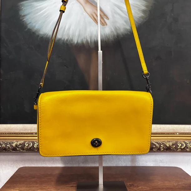 95新 COACH/蔻驰 coach单肩包/007852