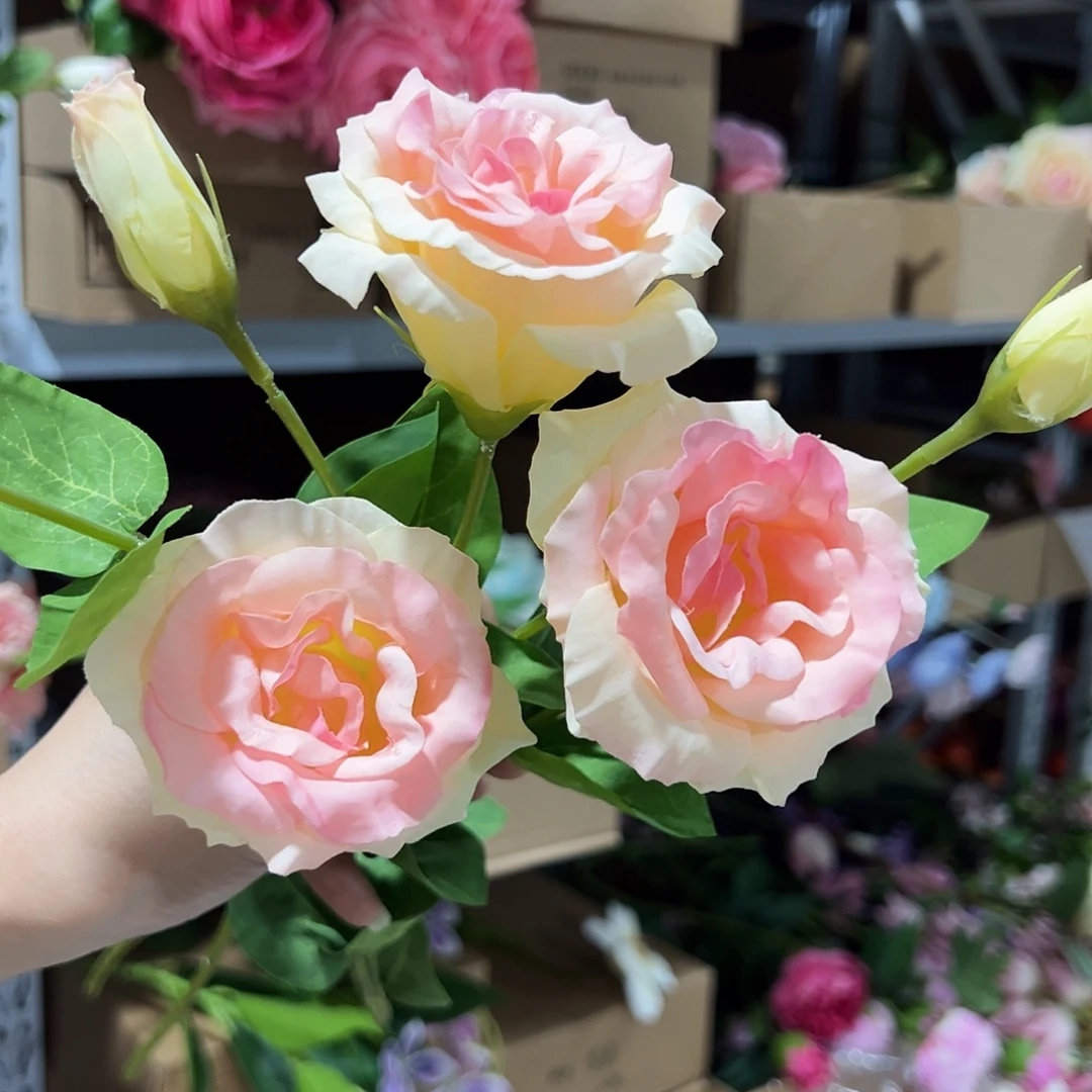 3枝香槟桔梗花。