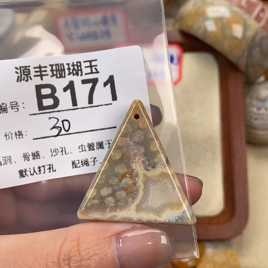 硅化玉颈饰未镶嵌怎