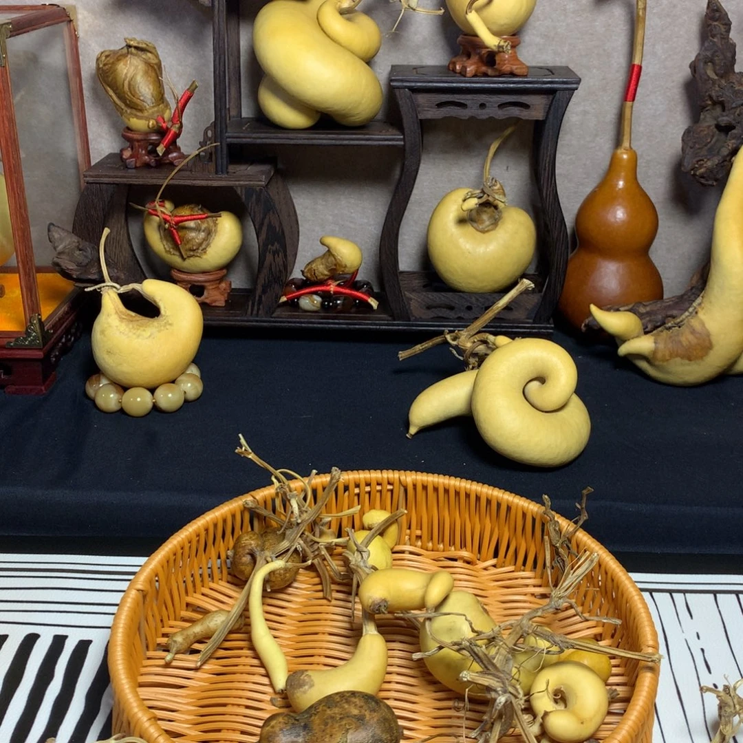 ****e葫芦葫芦真的好漂亮呀