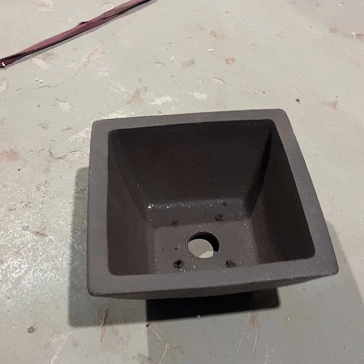 花盆花盆花盆花盆花盆花盆花盆