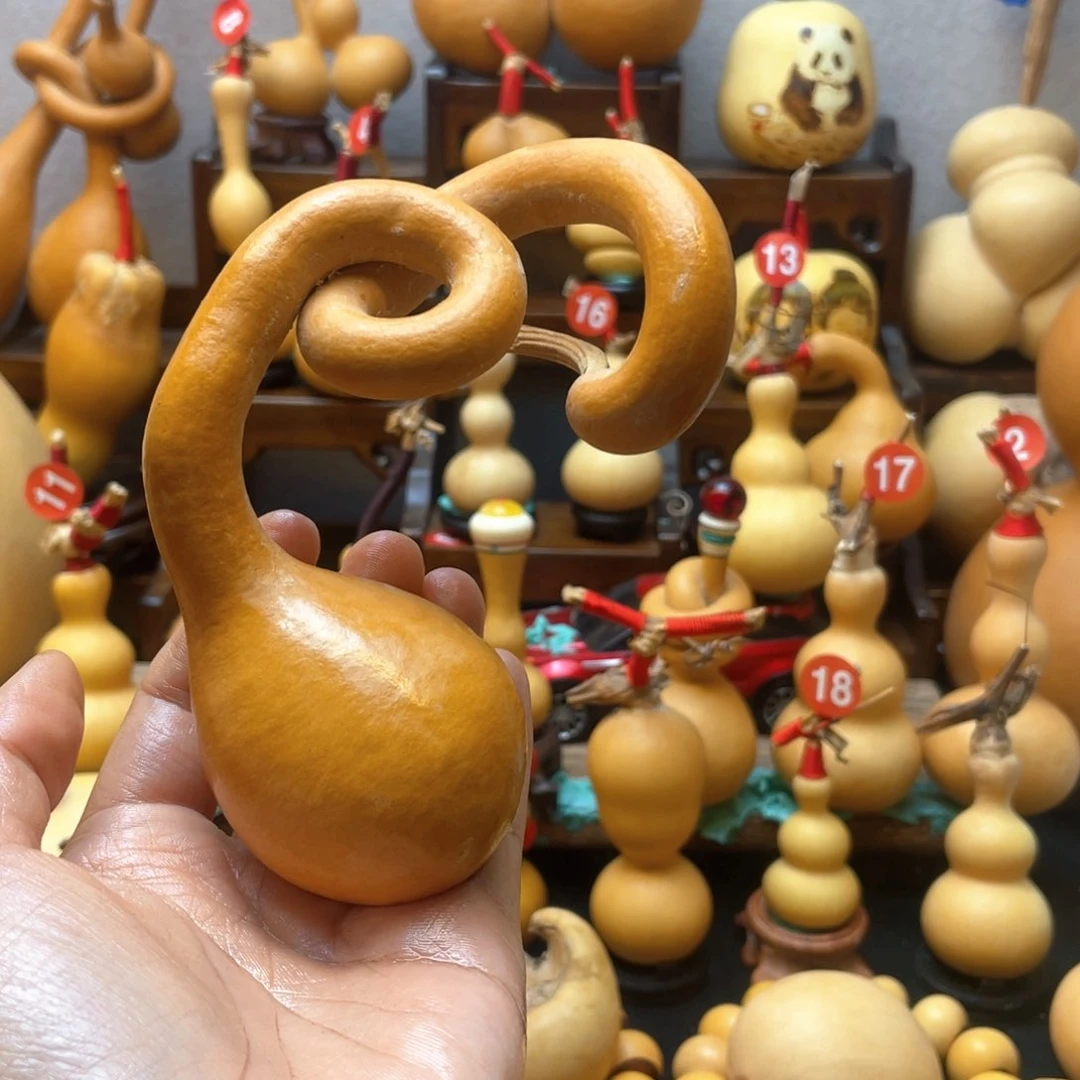 ?***?大自然的秘密第十一节你是谁