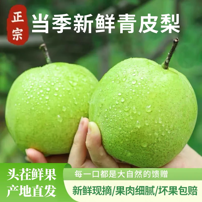 正宗当季青皮梨新鲜应季孕妇水果早酥梨青皮小香梨一整箱批发包邮