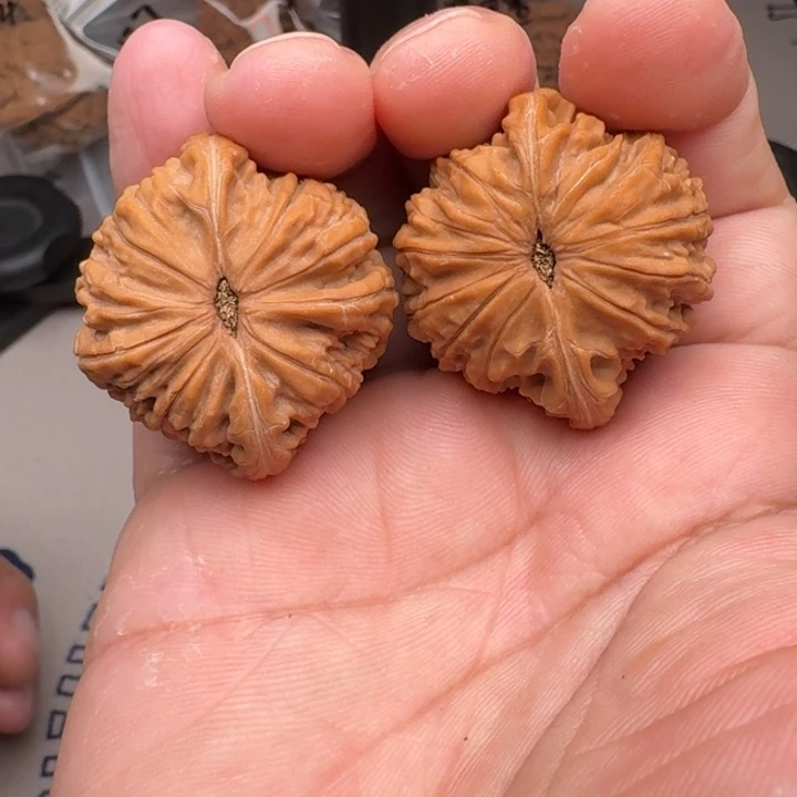 把件桃核山地磨盘37+尺24