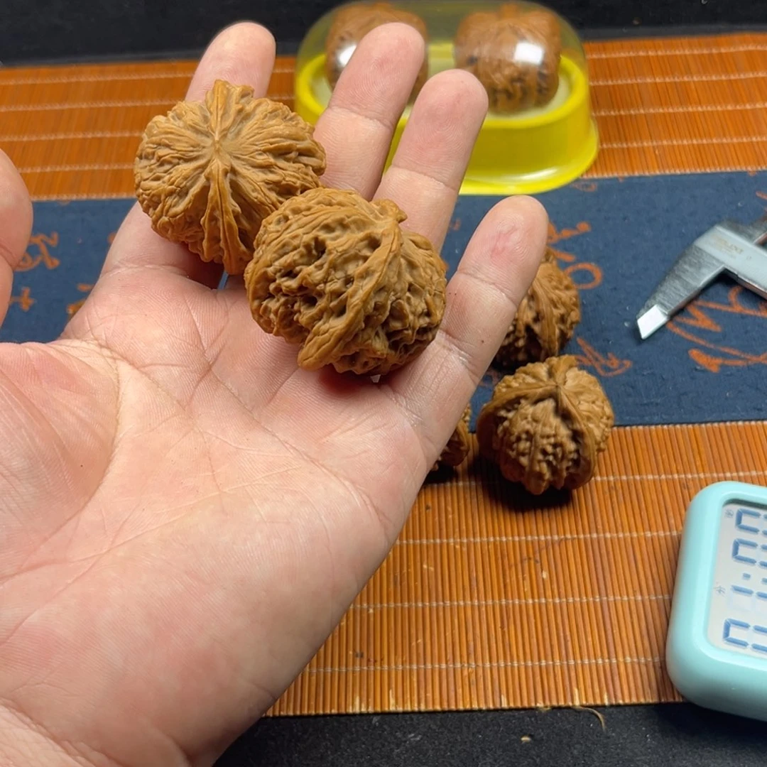 博***工核桃核桃种植和畜牧经济合作
