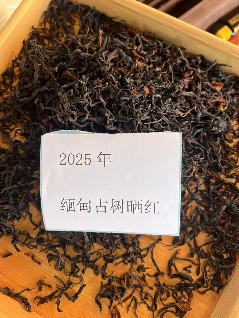 2025年缅甸古树红茶250g