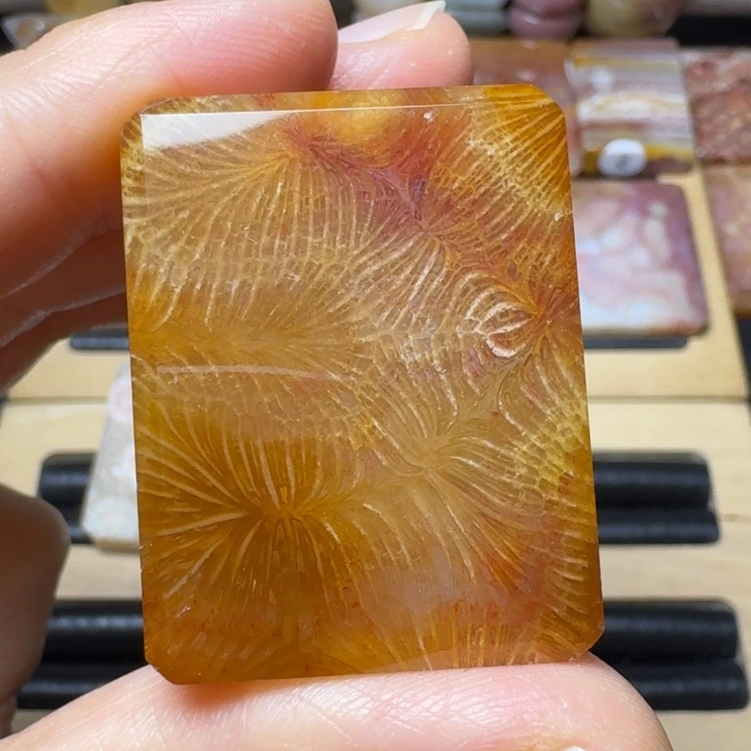 硅化玉红糖凤尾未镶嵌