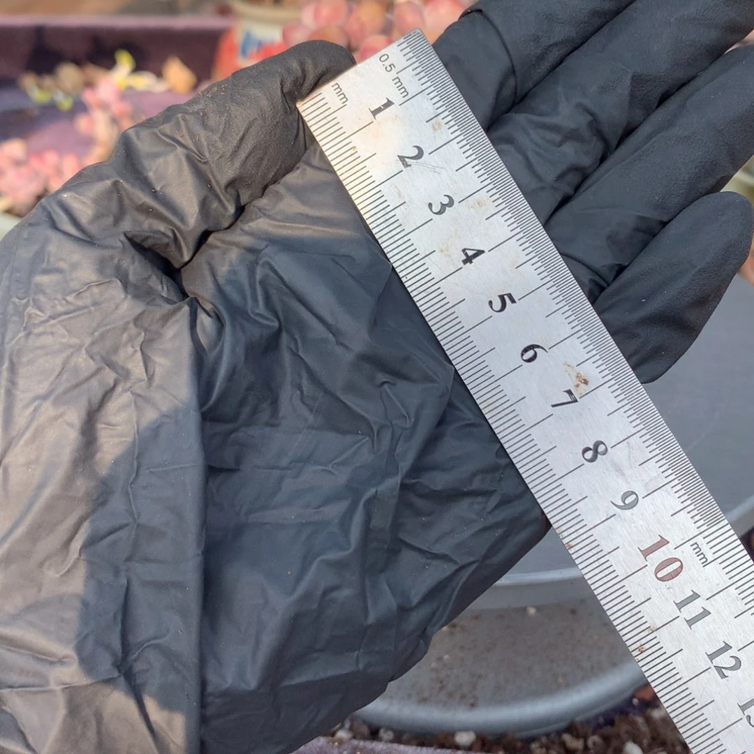 t***g邮费偏远不不包邮的