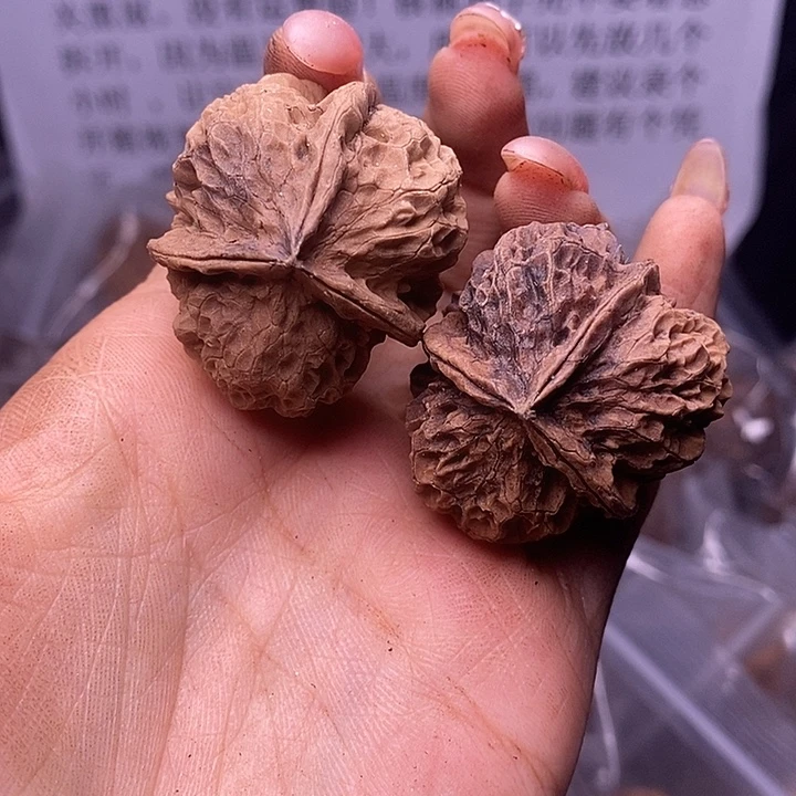 核桃云南野生铁核桃160号37mm