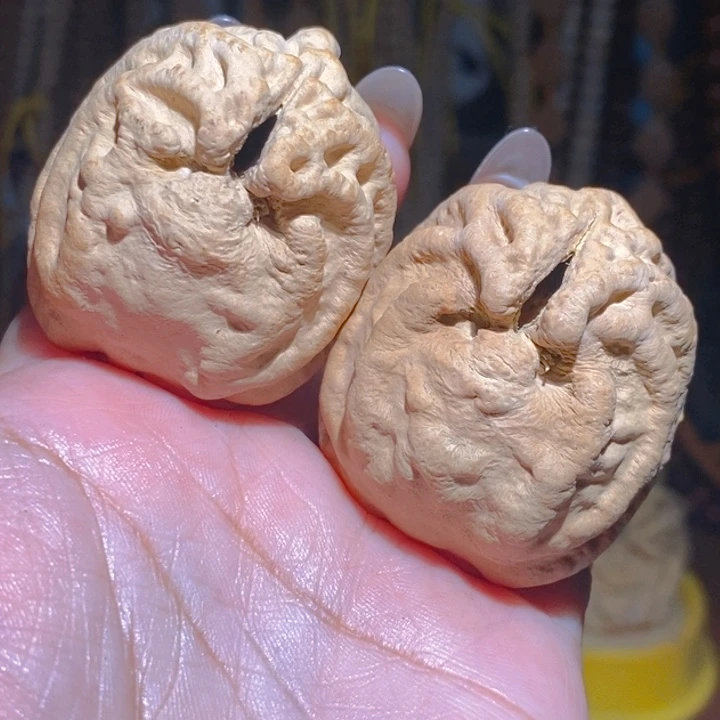 野生鬼脸乾坤核4045