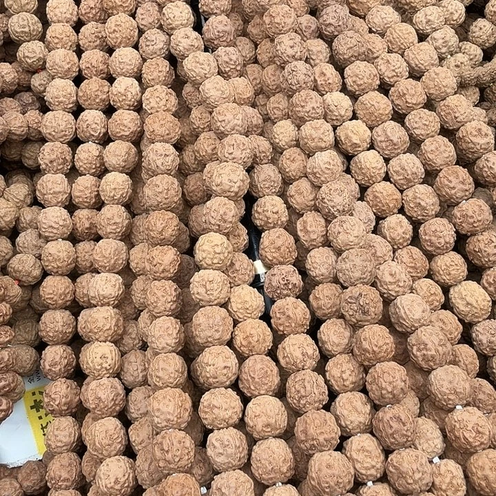 金刚菩提吊坠野龙9.6左右114颗没有钢丝刷保手持