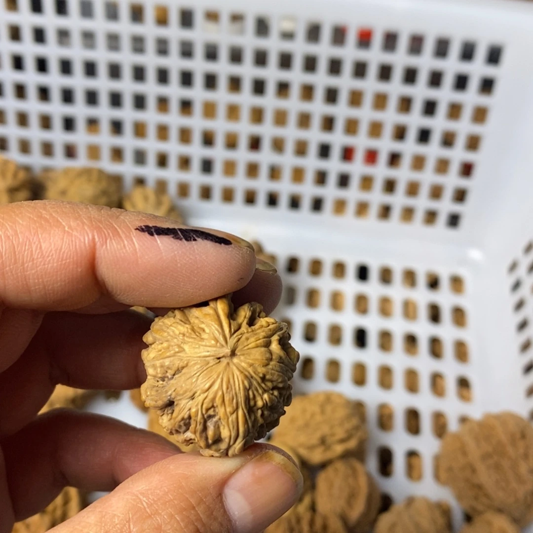 ****¹大叶紫檀（黑酸枝木类）