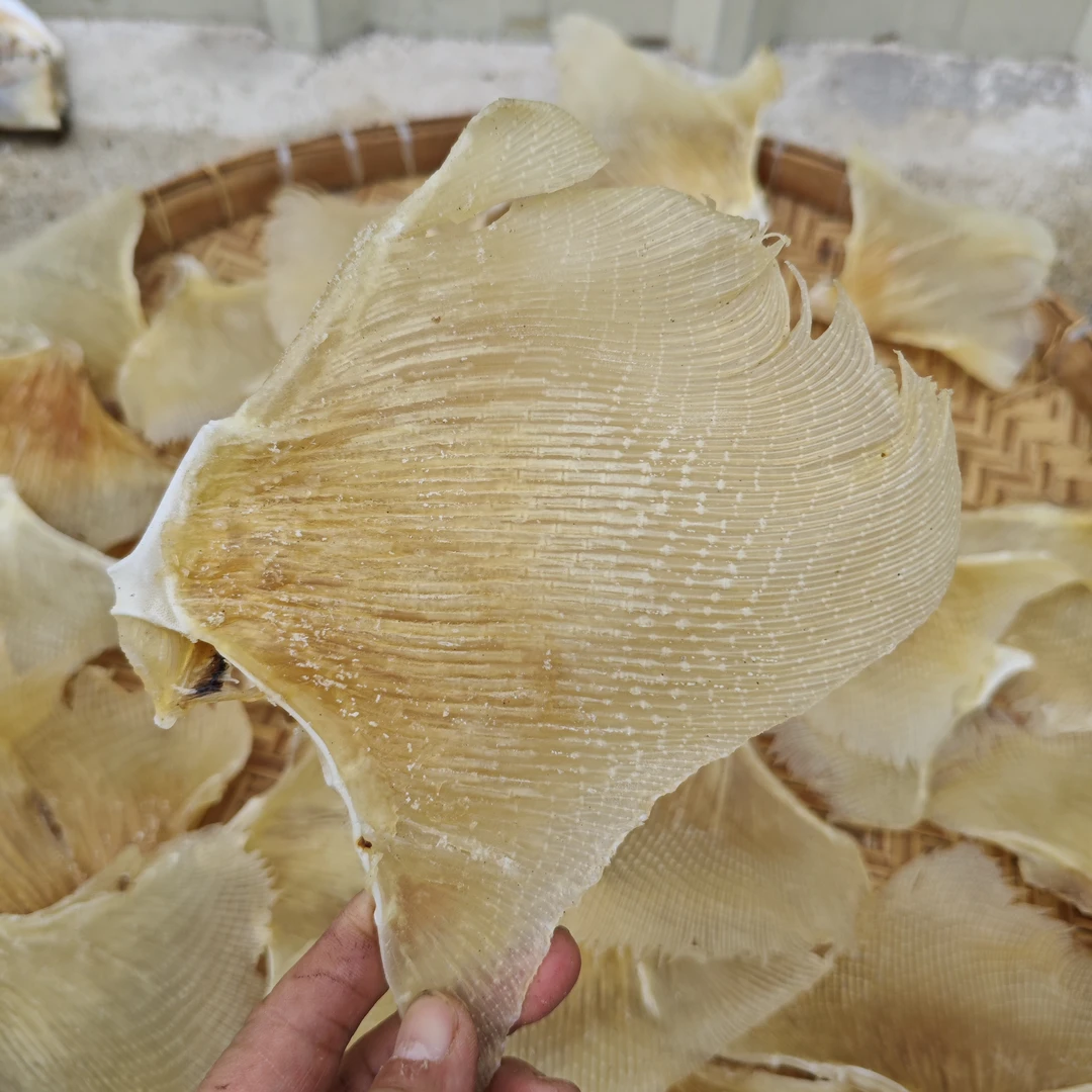 原味浦鱼干炖汤精品广西北海渔民自晒海鱼新鲜干净味道鲜水产干货