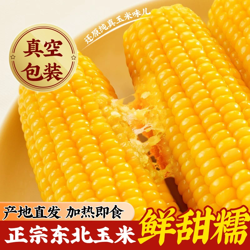 【试吃4根】东北黄糯玉米香甜大棒12根单根300-400克左右整箱8斤