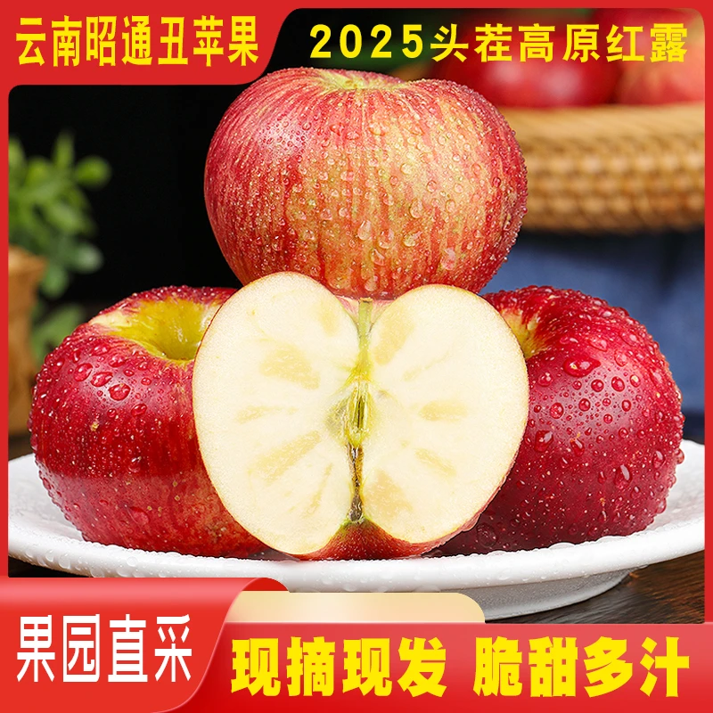 【2025现摘】正宗云南红露小冰糖心云南昭通糖心昭通云南昭通苹果