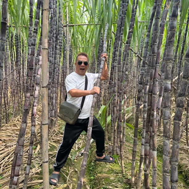 正宗南沙黑皮甘蔗·皮薄肉厚脆甜多汁