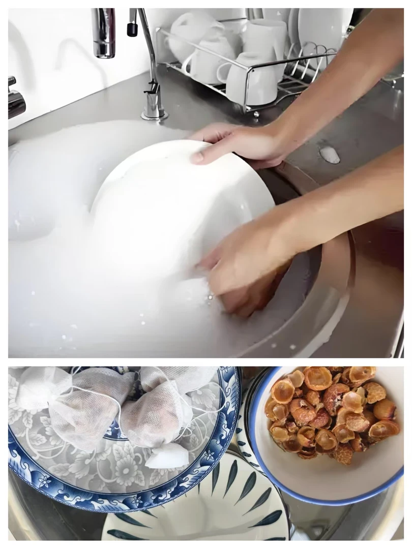 [农家自采]无患子果皮洗碗