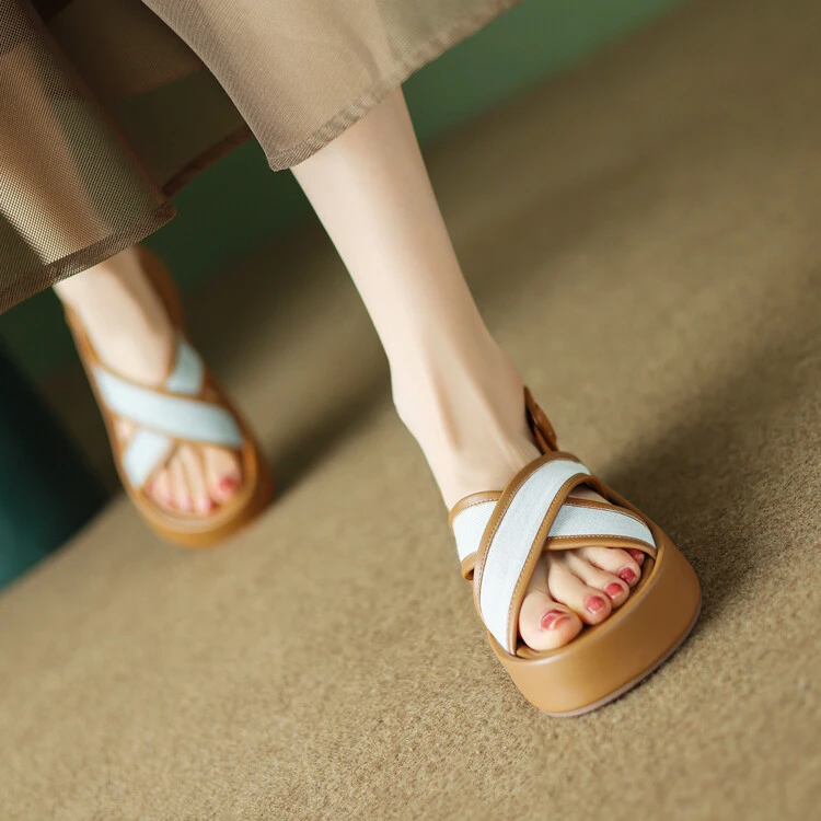 【露露严选】优质品源~数量有限~CKW H-1583