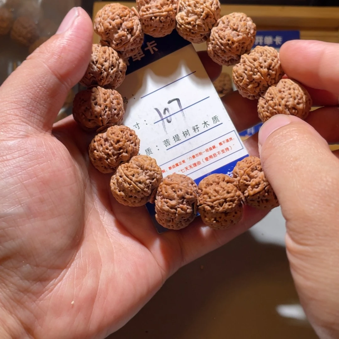 手串金刚菩提107号尺寸24矮壮六瓣