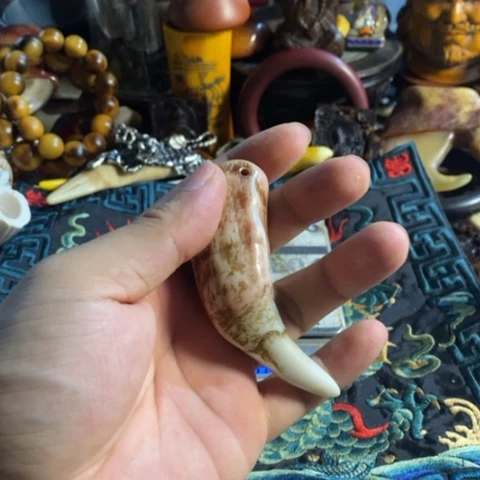 瓷片寻呼台的一位官员告诉记者他