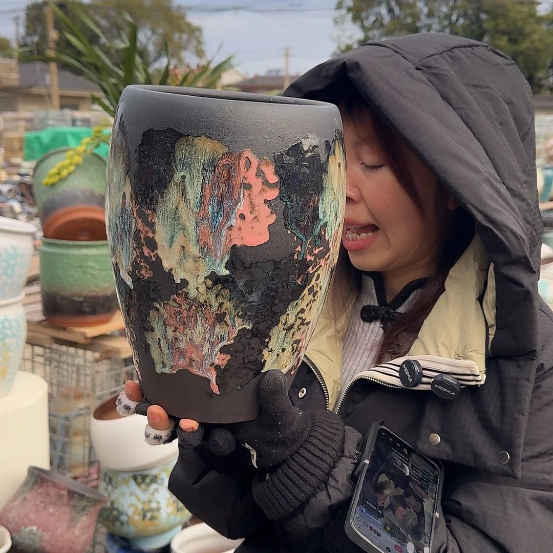 王嫂花盆1231-349高27口17