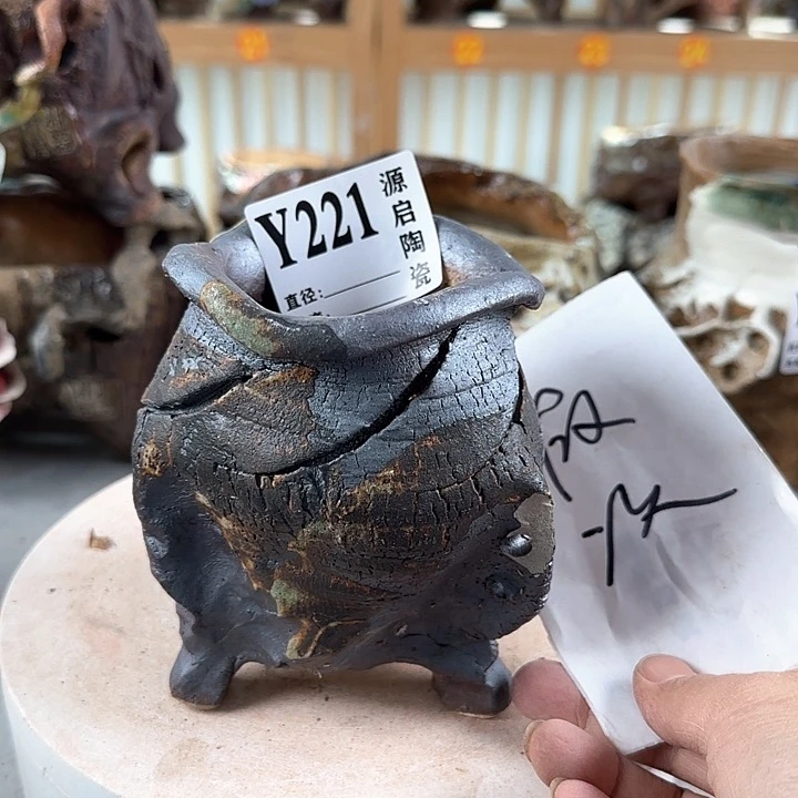 紫砂花盆景德镇陶瓷多肉221