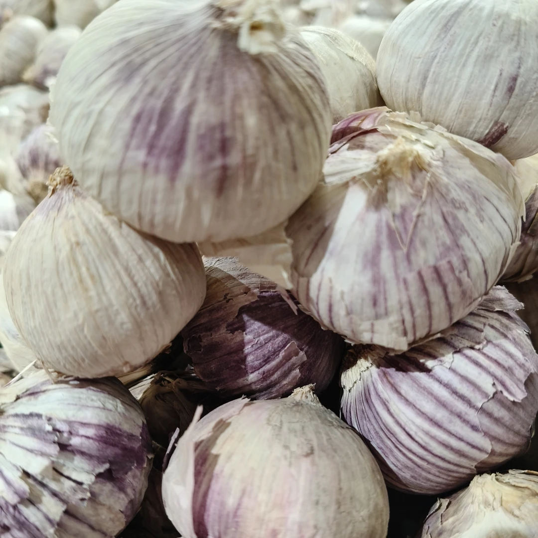 精品红皮蒜5块8毛500g zb