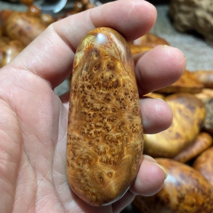 其他柏木（崖柏）把