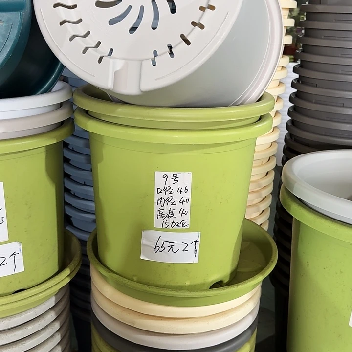 果绿9号口径46高4无托3个