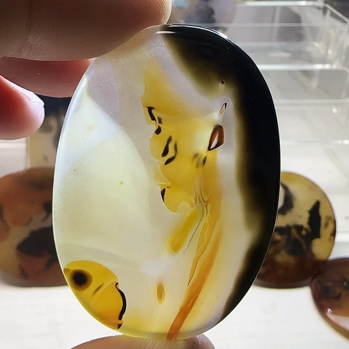 玛瑙/玉髓未镶嵌珠宝奇石