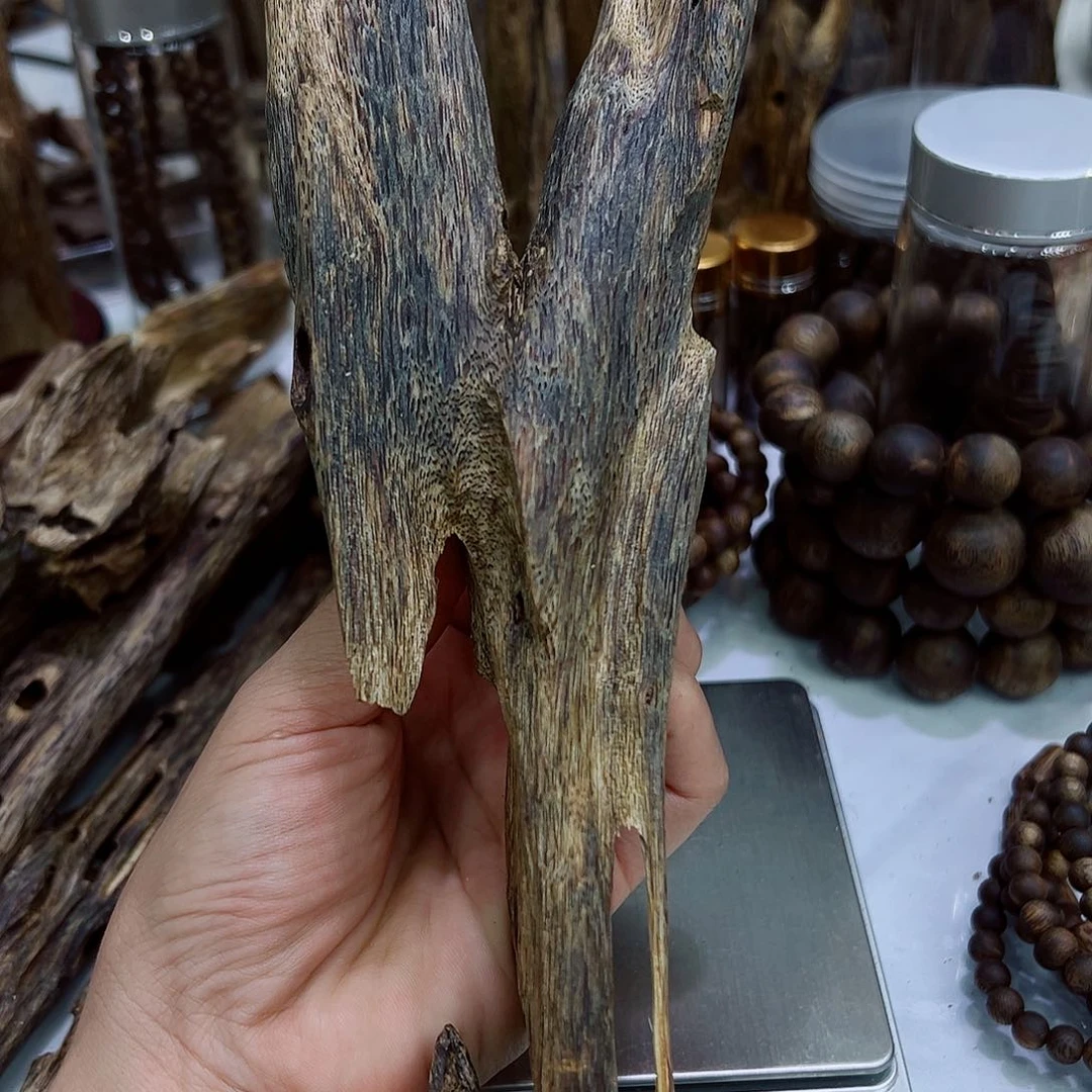 摆件沉香乌身圆叶带底座老虫漏大摆件1个