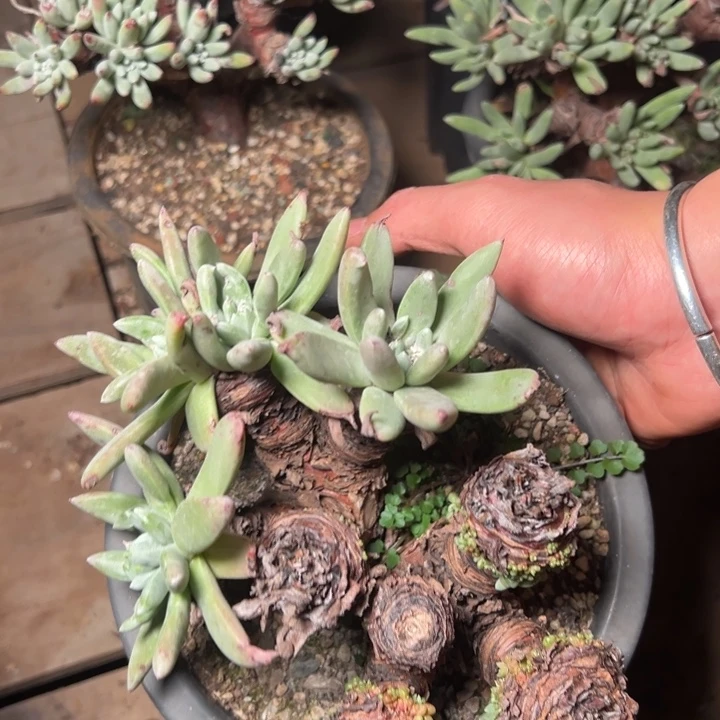 1308哈哈哈哈哈哈哈哈哈