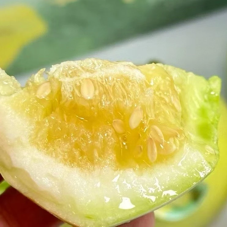 小甜国马连庄甜瓜