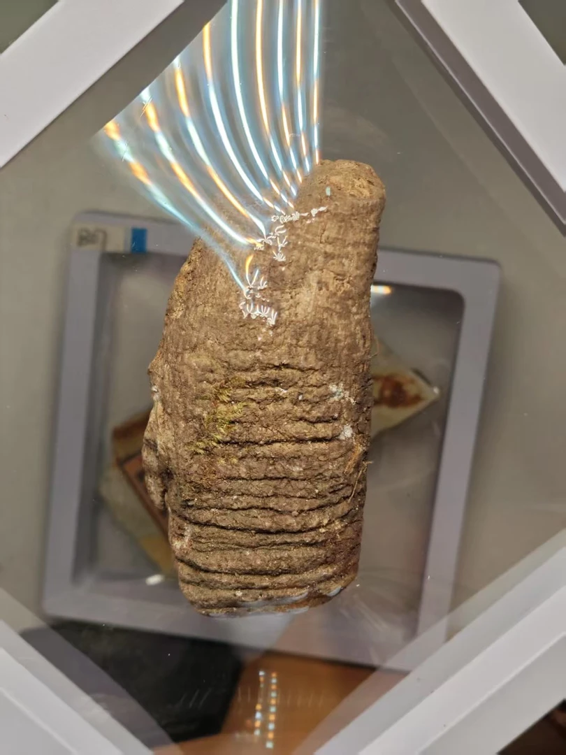 直播间截图下单，自然原生态家居摆件户外老物件风化