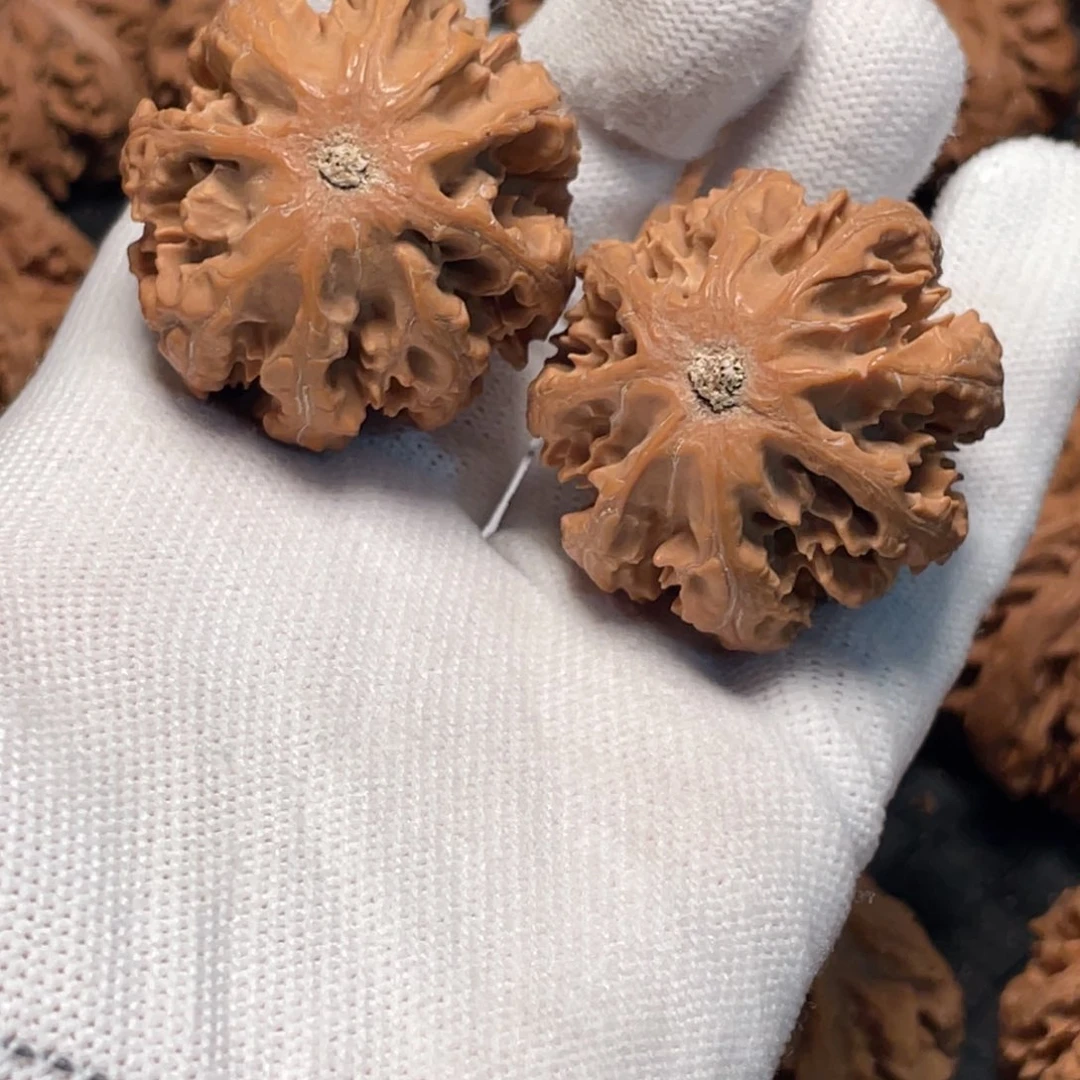 日***动桃核吊坠1 秦岭灯笼野生小众