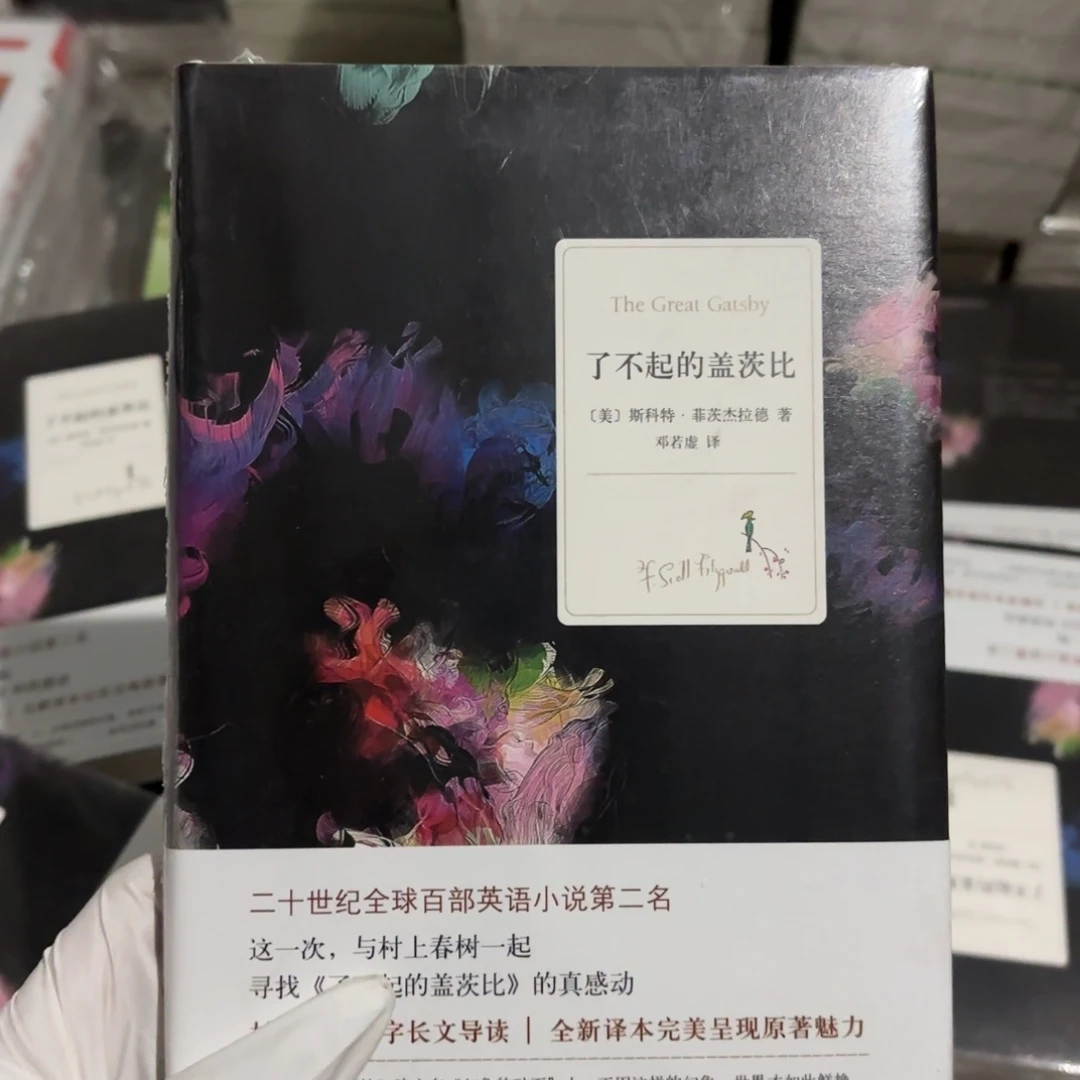 了不起的盖茨比 闪购8