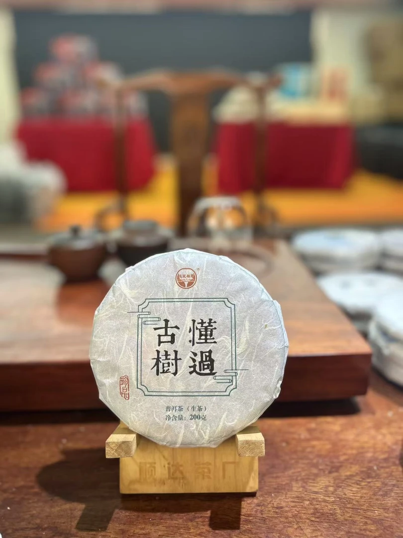 云南普洱茶生茶2024年懂过古树 200克饼