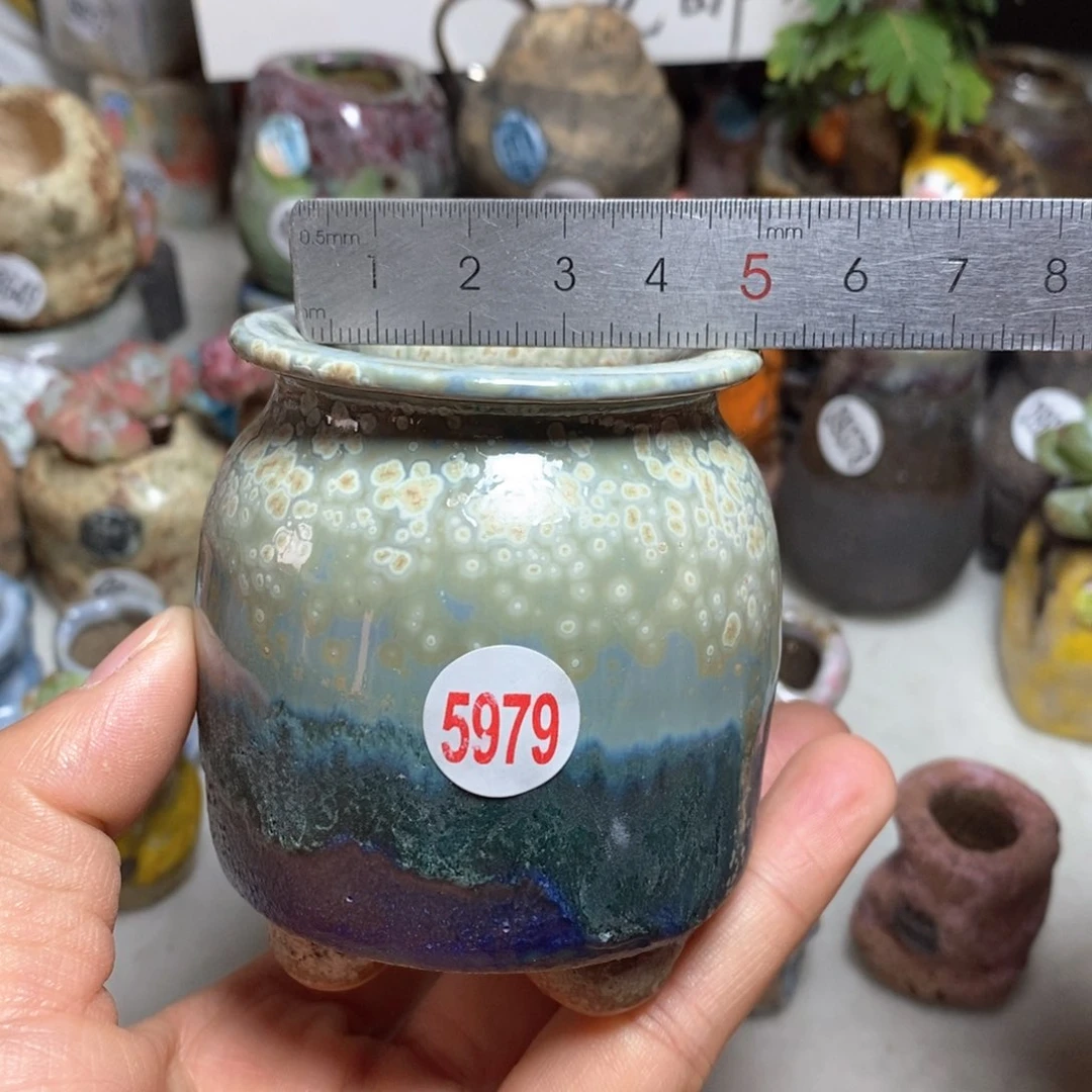 花盆拍3送一个小礼物