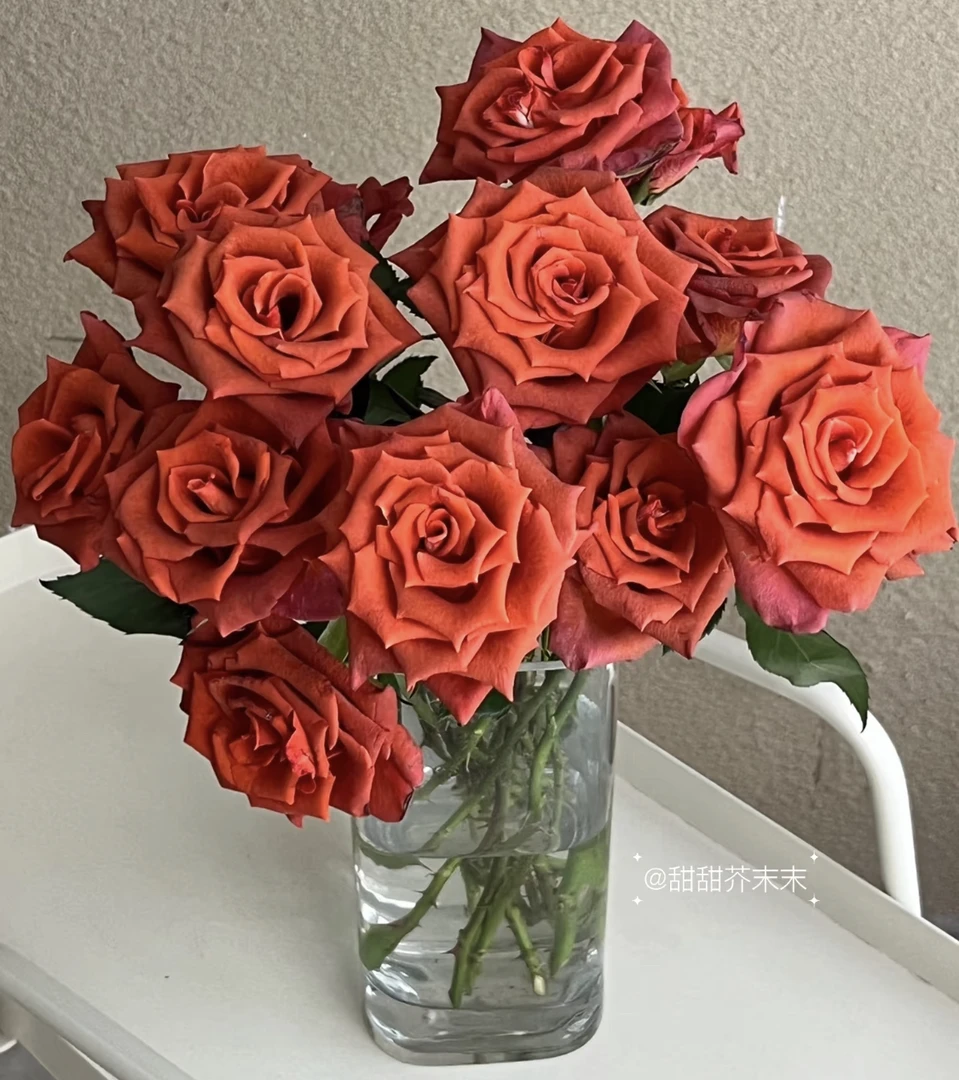 「曼曼」杏仁酒15只➕5只防损  鲜花任意满两单包邮拒收不售后