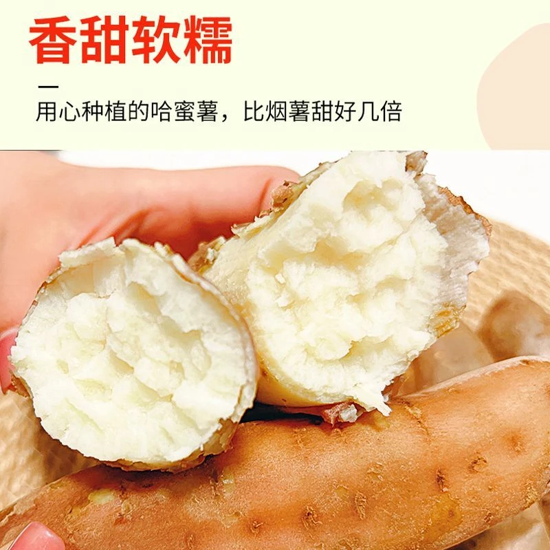 新疆哈密冰糖心蜜薯 粉糯香甜新疆直发
