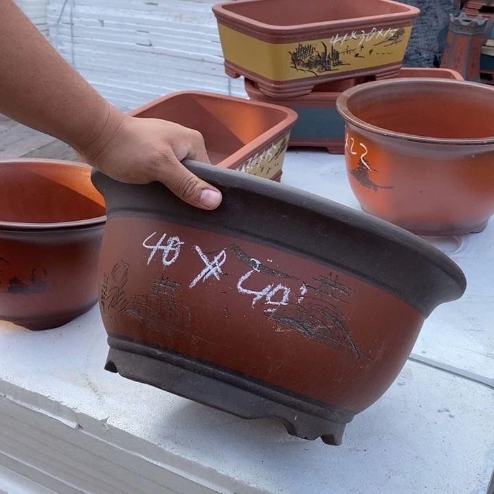 紫砂花盆盆栽花卉苗木种植