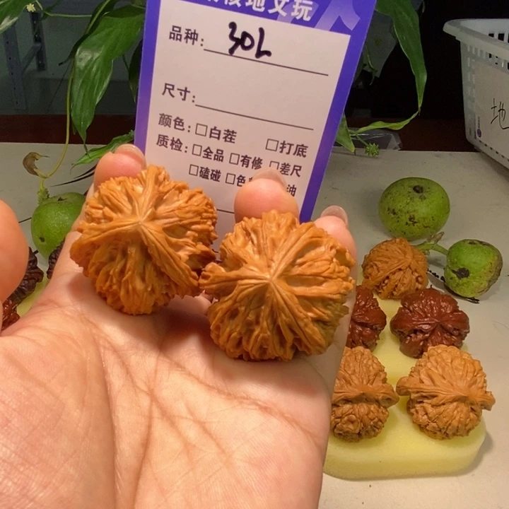 文玩核桃把件302号，37尺文山三棱有修练手