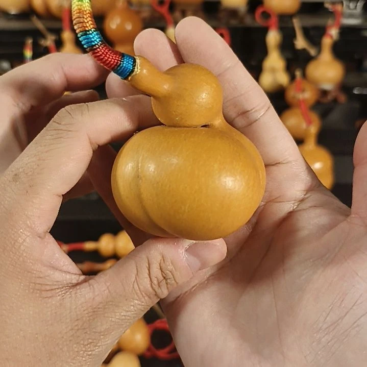 金蝉葫芦 老皮 葫芦免费 8米是客户承担的运费