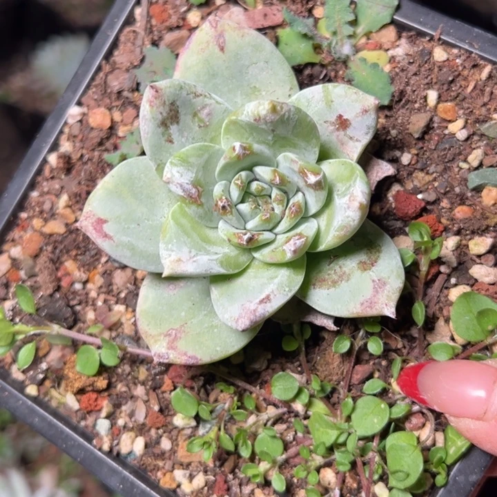 861哈哈哈哈哈哈哈哈