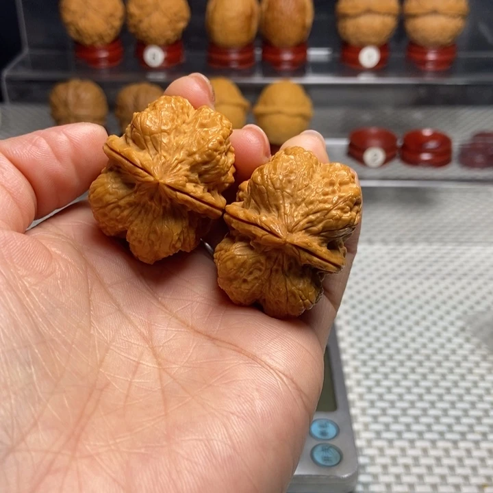 文玩核桃把件40霸王龙脊