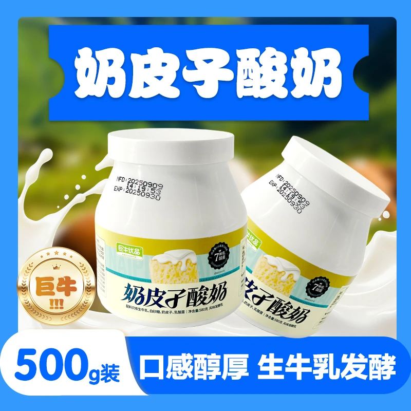 内蒙古特产桶装奶皮子酸奶草原风味口感丝滑的经典老酸奶