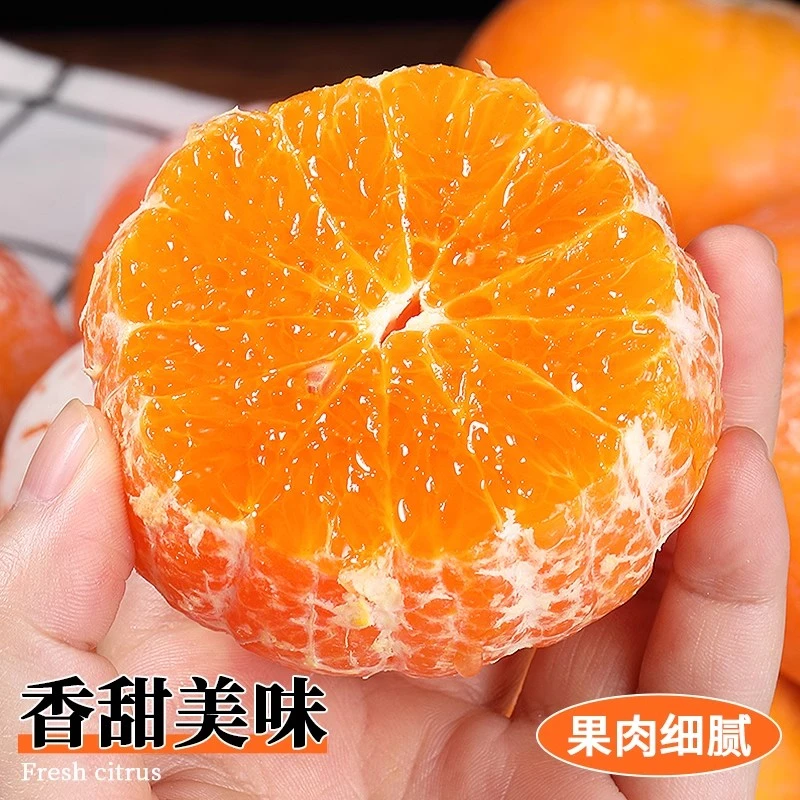 【水嫩爆汁】正宗广西武鸣茂谷柑现摘现发皮薄多汁新鲜应季水果